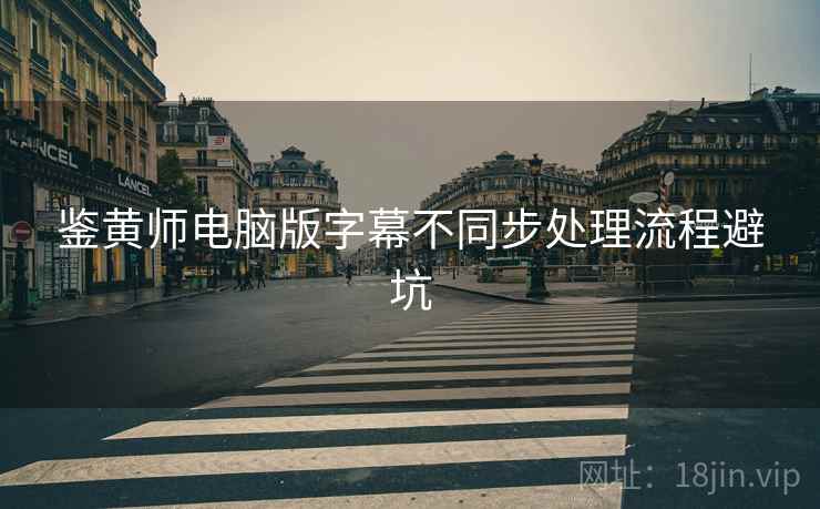鉴黄师电脑版字幕不同步处理流程避坑