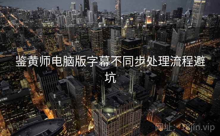 鉴黄师电脑版字幕不同步处理流程避坑