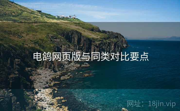 电鸽网页版与同类对比要点