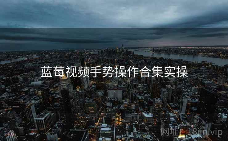 蓝莓视频手势操作合集实操