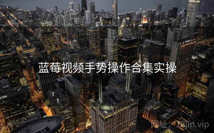 蓝莓视频手势操作合集实操