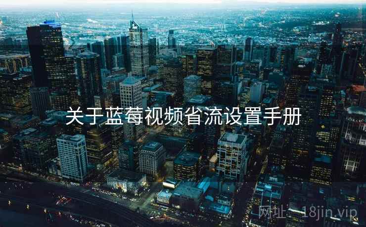 关于蓝莓视频省流设置手册