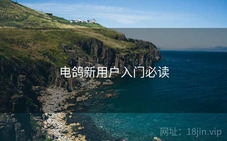 电鸽新用户入门必读