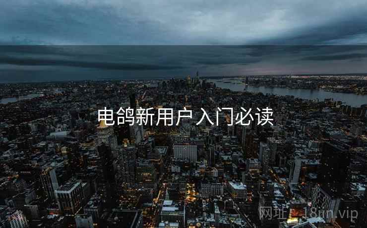 电鸽新用户入门必读