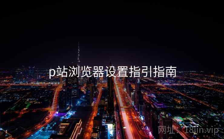 p站浏览器设置指引指南 p站浏览器设置指引指南