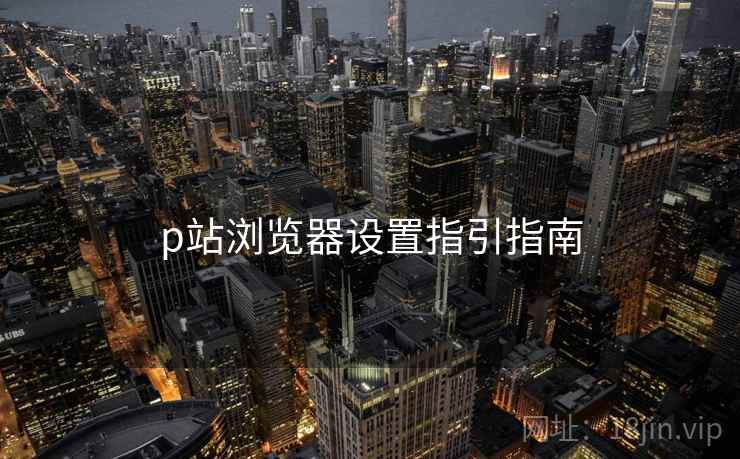 p站浏览器设置指引指南 p站浏览器设置指引指南