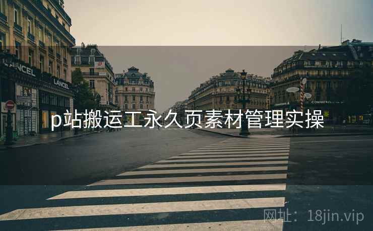 p站搬运工永久页素材管理实操