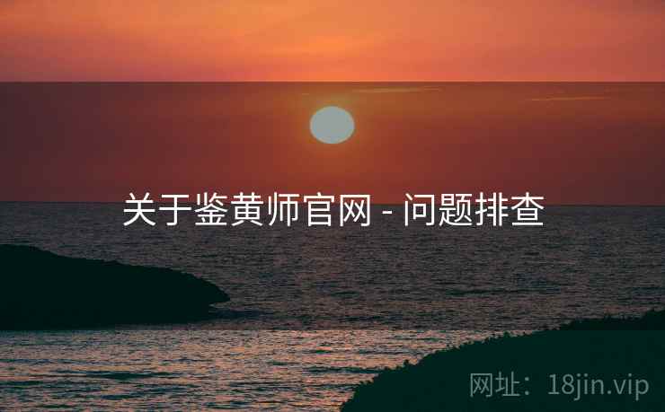 关于鉴黄师官网 - 问题排查