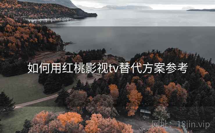 如何用红桃影视tv替代方案参考