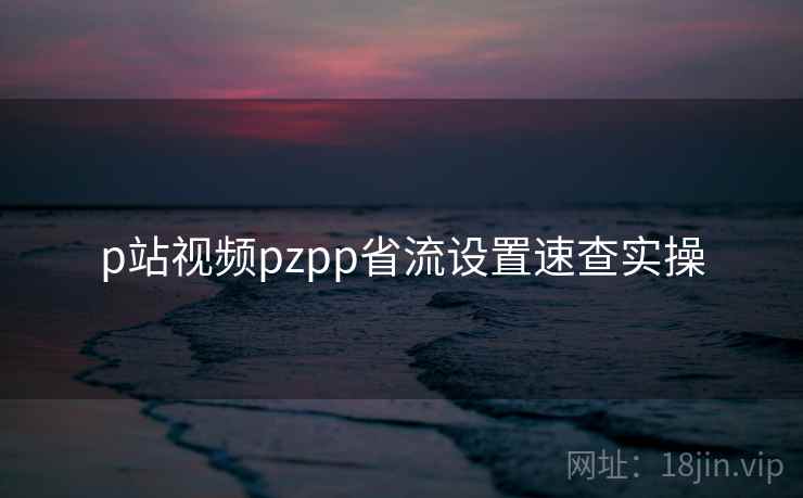 p站视频pzpp省流设置速查实操 p站视频pzpp省流设置速查实操