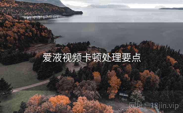 爱液视频卡顿处理要点