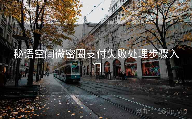 秘语空间微密圈支付失败处理步骤入门
